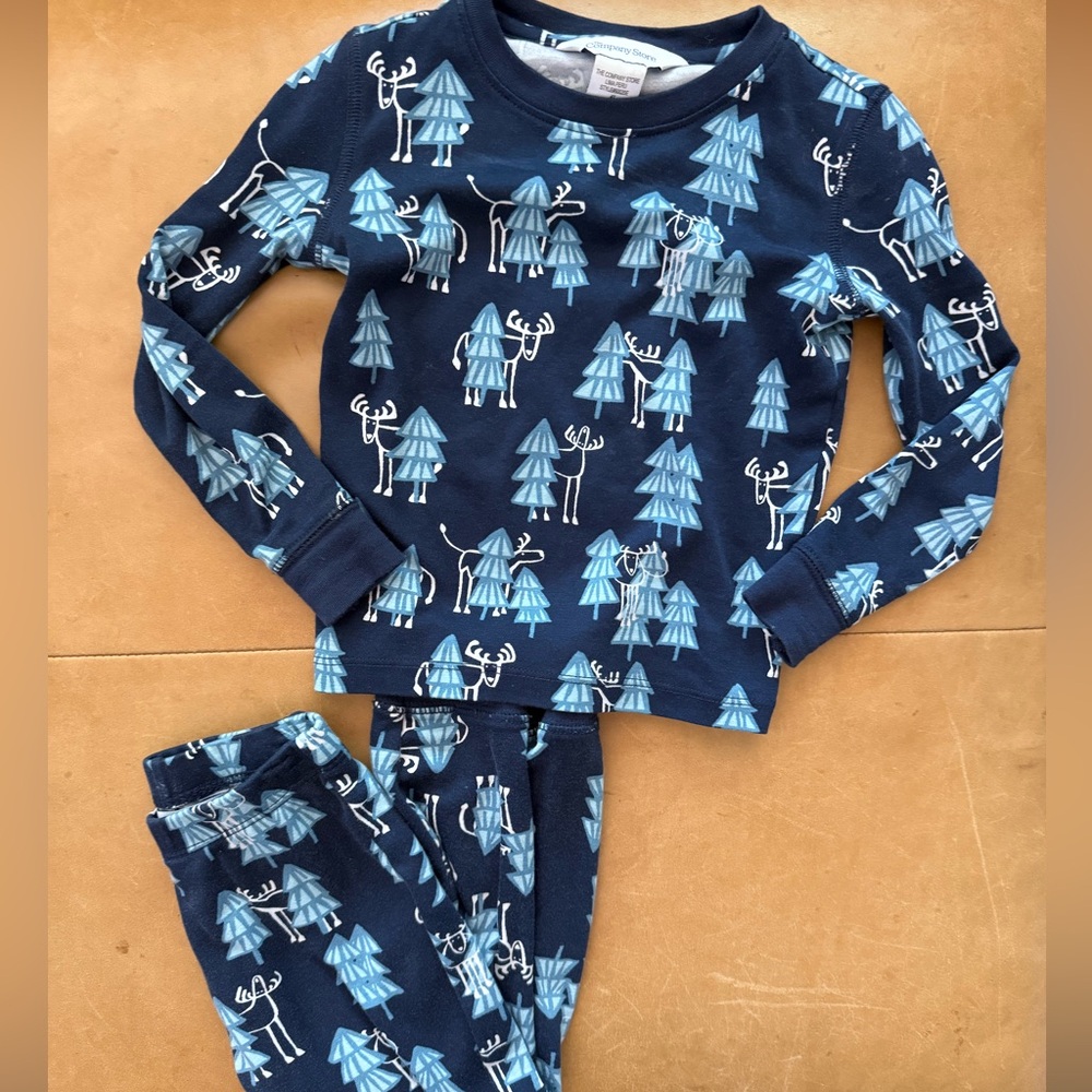 The Company Store Pajamas 4T
